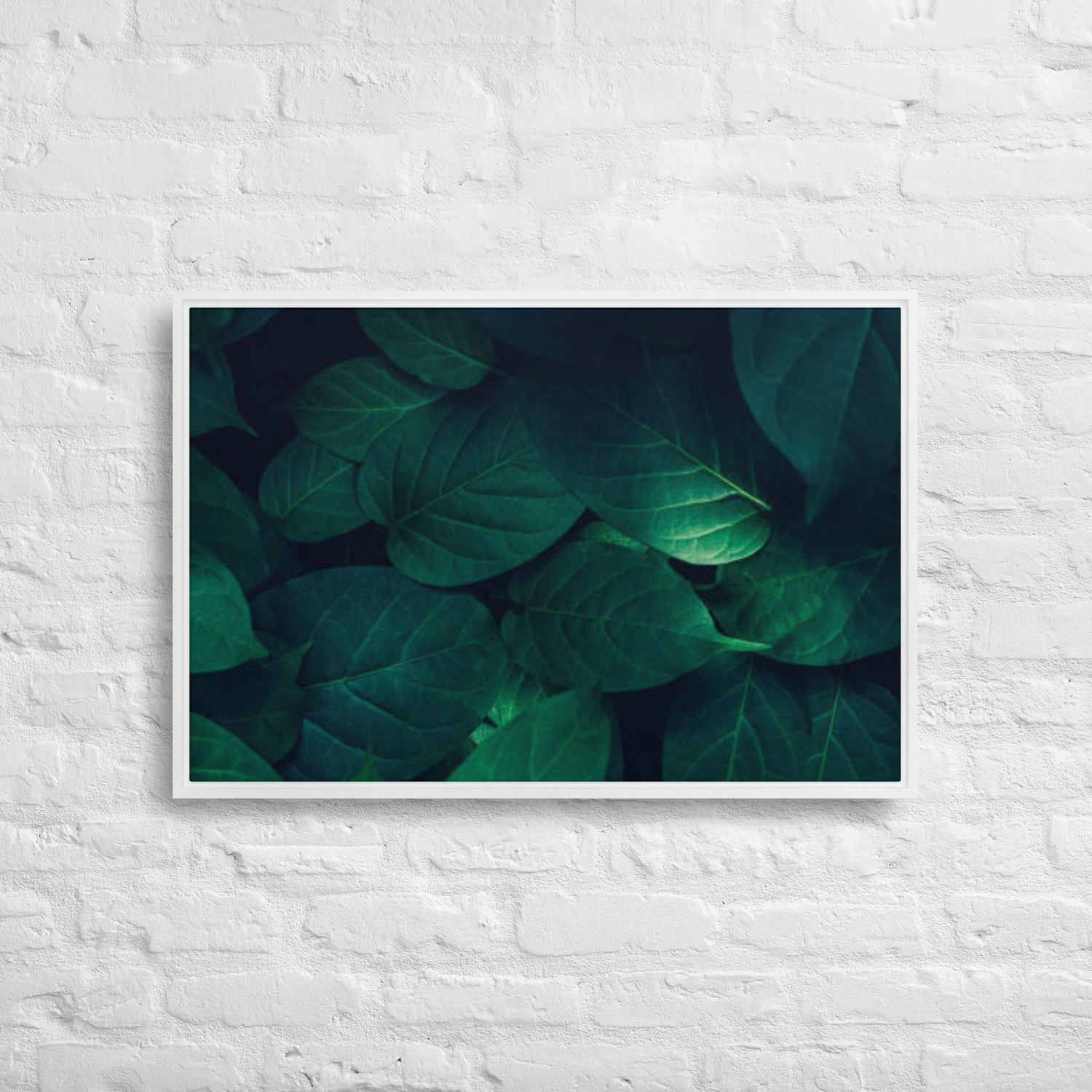 Bloom